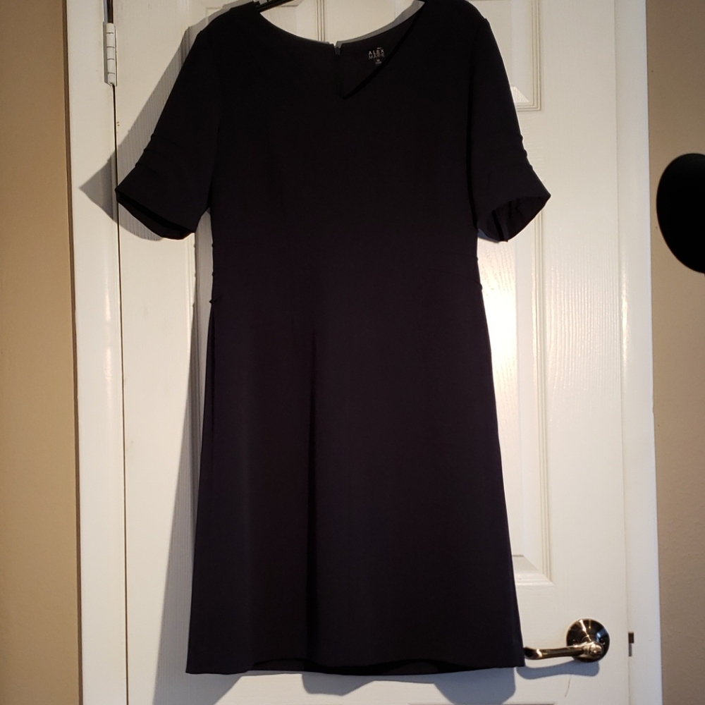 Alex Marie Navy sheath dress Size 10